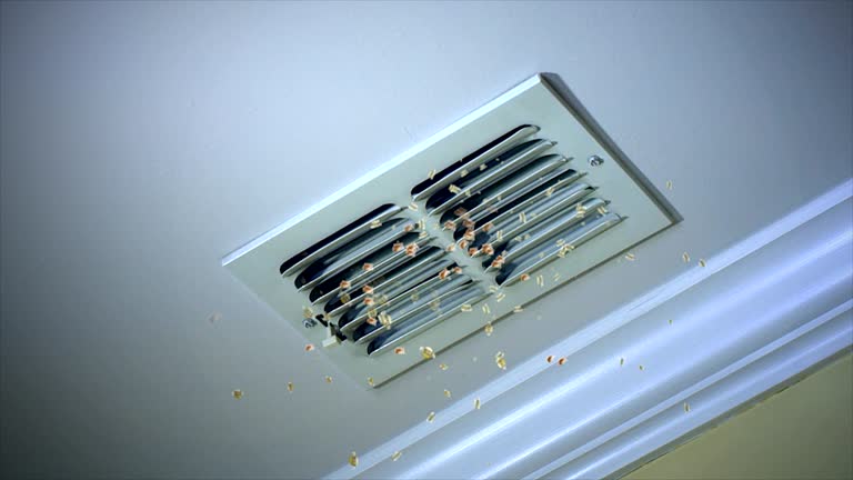 Best HVAC Air Duct Cleaning  in Ligh, NE